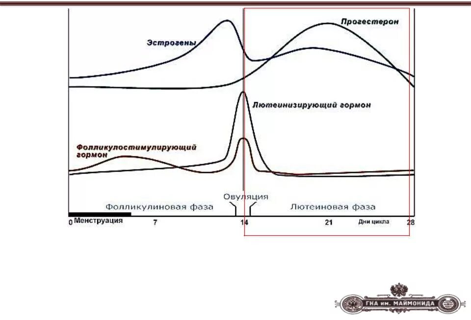 Гормон фсг на какой день. Лютеинизирующий и фолликулостимулирующий гормон. Соотношение ЛГ И ФСГ норма. ФСГ В 1 фазу. Выработка ФСГ И ЛГ.