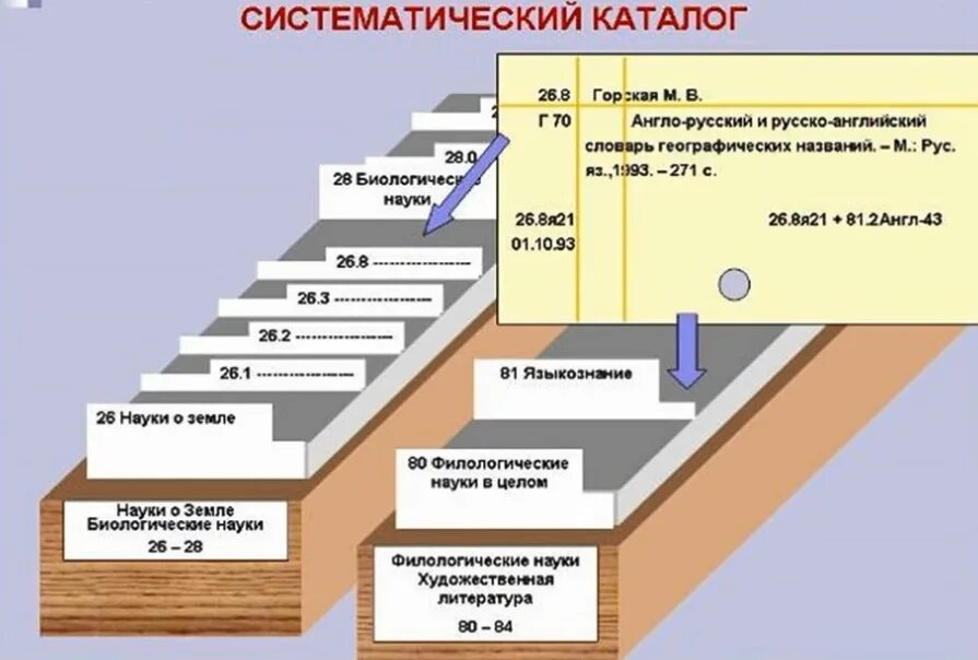 Работа с 2 каталогами. Систематический каталог. Карточка систематического каталога. Систематический каталог в библиотеке. Алфавитный каталог в библиотеке.