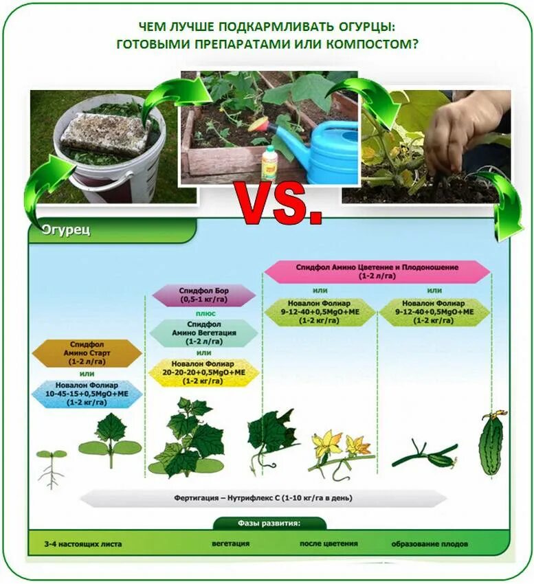 Огурцы после чего лучше. Схема удобрения огурцов. Удобрение подкормка для огурцов в теплице. Таблица подкормки огурцов. Схема внесения удобрений для огурцов.
