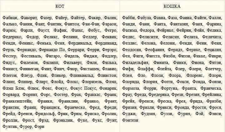 Имя для кошки с буквой с. Кошачьи имена на букву с для мальчика. Имена для кошек девочек. Кошачьи клички для девочек красивые. Как назвать кота мальчика.