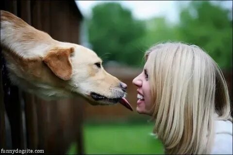 Lick meaning