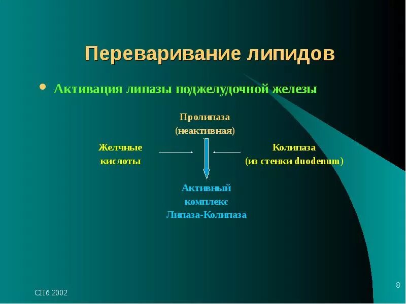 Переваривание липидов в жкт. Ферменты переваривания липидов. Ферменты переваривания липидов. Переваривание и всасывание липидов в дкт. Схема расщепления липидов.