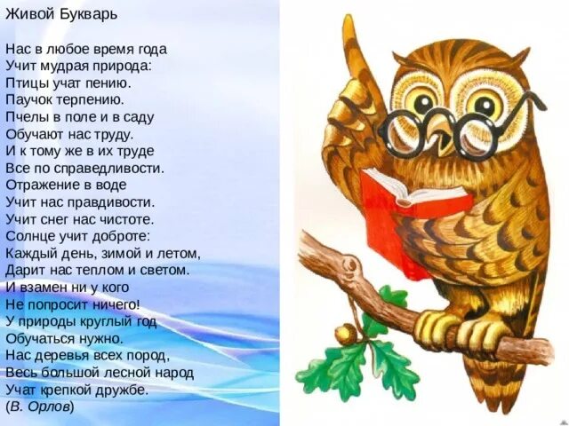 Нас в любое время года учит мудрая. Живой букварь стихотворение в Орлова. Любое время года учит мудрая природа птицы учат пению паучок терпению.