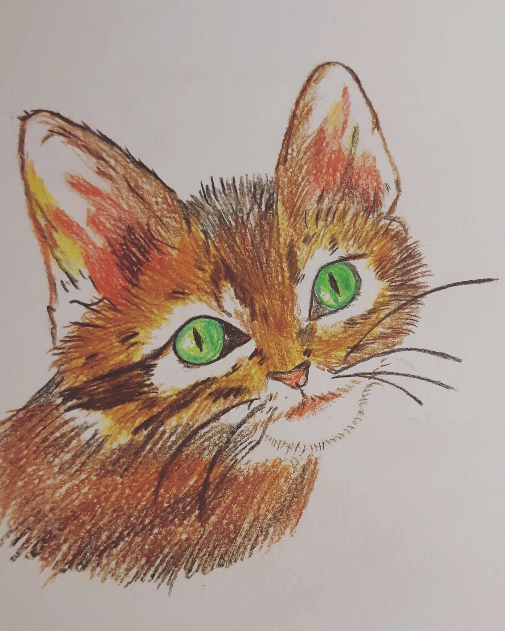 Рисование цветными карандашами. Кошка цветными карандашами. Рисование цветными карандашами для детей. Рисование котенка цветными карандашами.