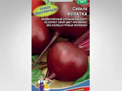 Свекла мулатка описание
