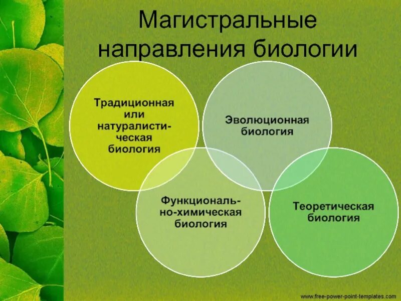 Основные направления биологии 9 класс. Направления биологии. магистральные направления биологии. основные направления биологии. современные направления в биологии.