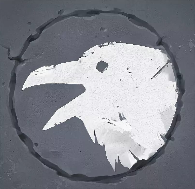 Клан воронов. Клан ворона. Northgard хугин и мугин. Northgard ворон. Northgard хугин и мугин.