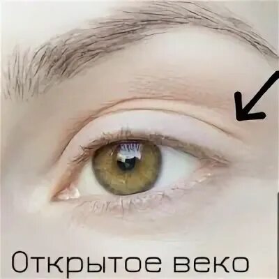 Открытое века