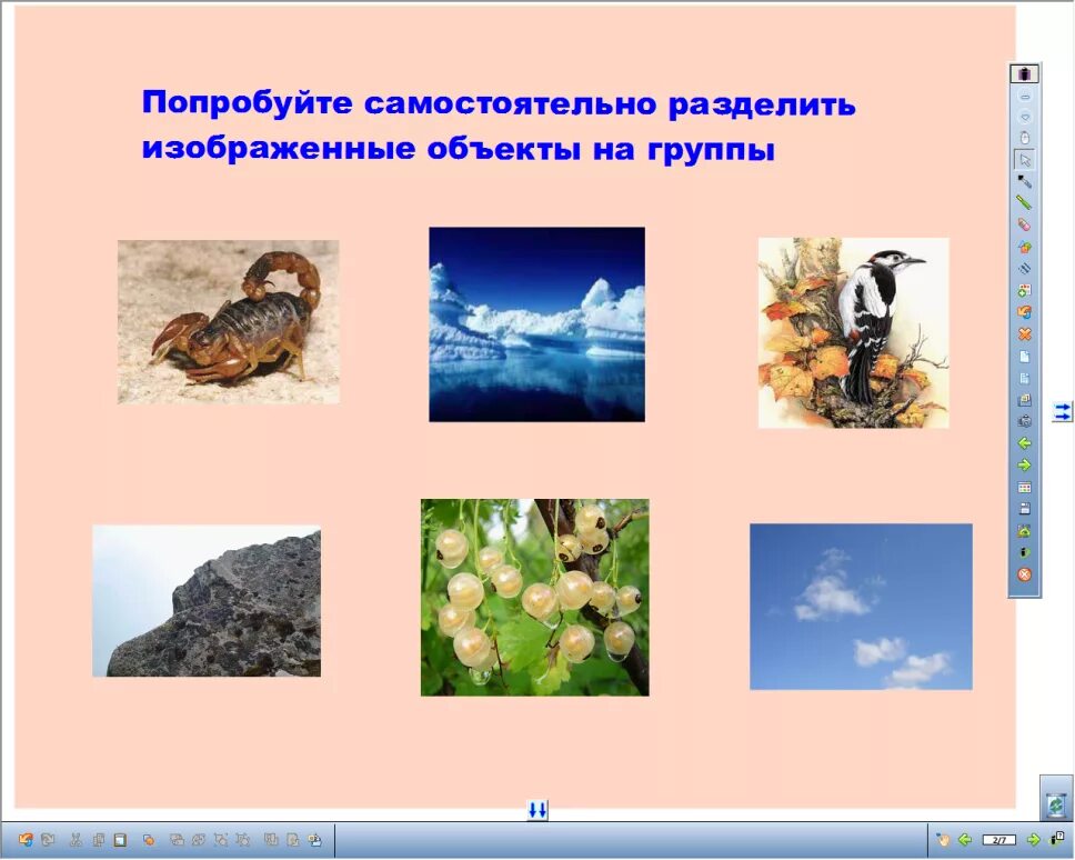 Укажи объект живой природы. Объекты живой и неживой природы. Объекты живой и объекты неживой природы. Компоненты неживой природы. Картинки Живая и неживая природа для дошкольников.