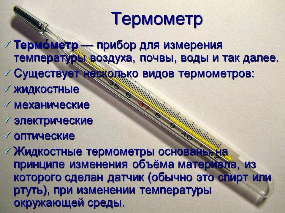 Предок современного градусника. Термометр для измерения температуры. Термометр информация. Термометр это определение. Прибор для термометрии.