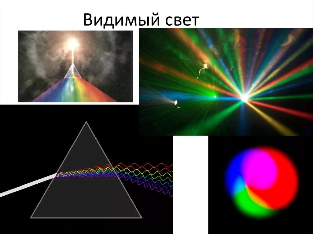 Что воспринимает световое