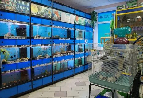 Каталог зоомагазина золотая рыбка