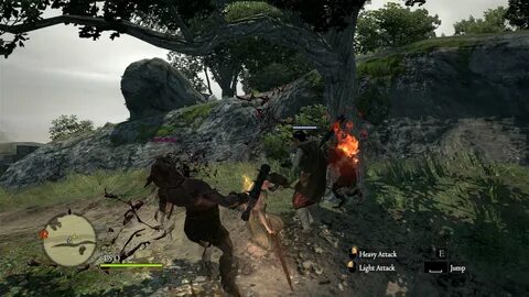 Dragon s dogma dark arisen лавровый лист