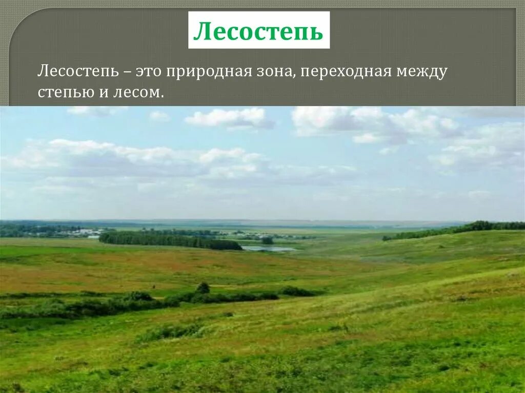 Лесостепь россии урок. Природные зоны Казахстана лесостепь. Степи и лесостепи. Лесостепная зона природная зона. Лесостепь презентация.