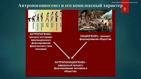 Проблема антропосоциогенеза в философии