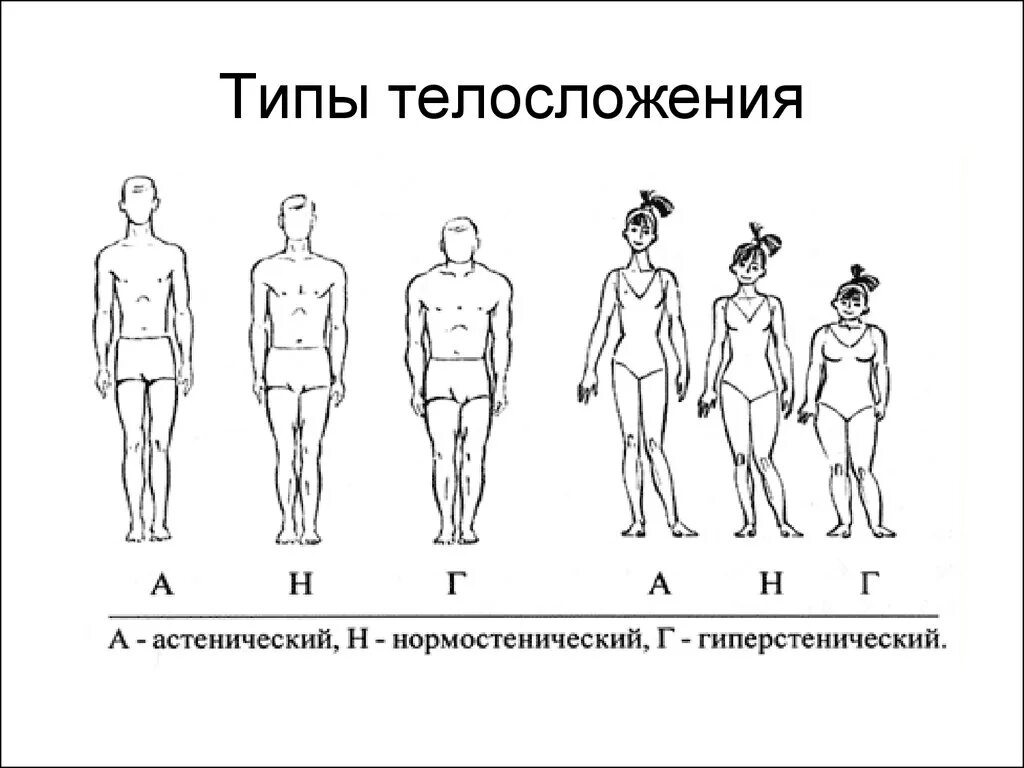 Астенический тип людей