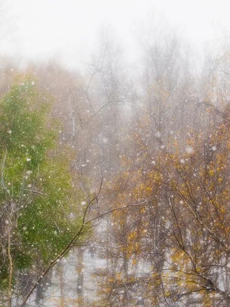 метель в городе. с первой метелью картинка. снежная буря в городе. первый метель. зима метель.