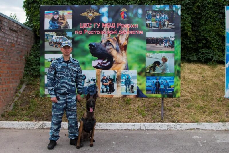 Кинолог 2024. День кинологических подразделений МВД России (день кинолога). 21 Июня день кинологических подразделений МВД России. С днем кинолога. С днем кинологической службы.