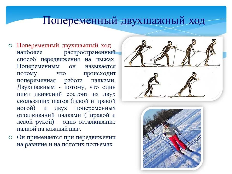 Лыжные теории