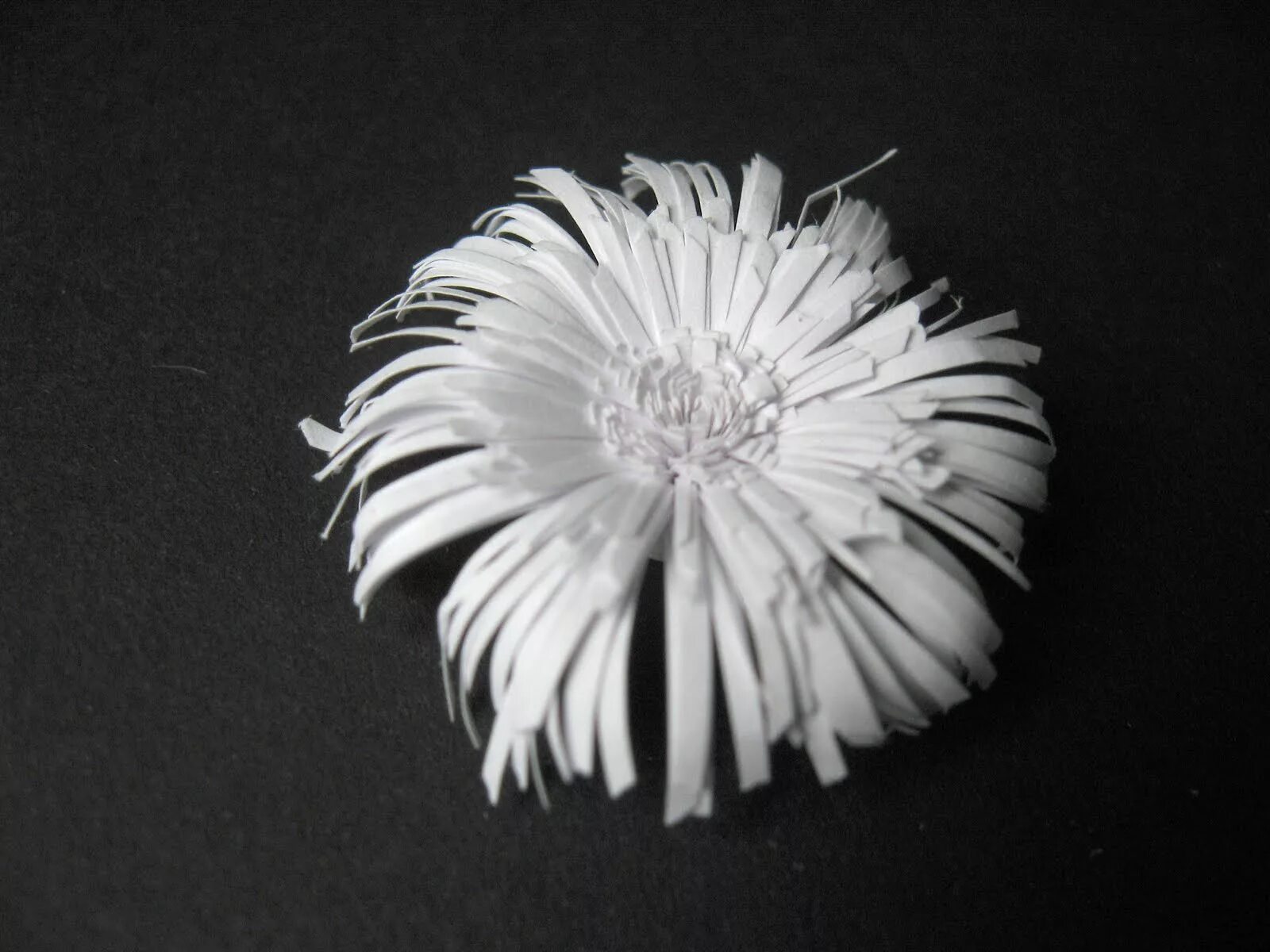 цветоделие хризантема. хризантемы из салфеток. хризантемы из бумаги. астры из гофробумаги. цветы из гофрированной бумаги хризантемы.