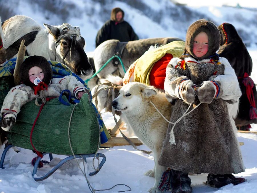 Жители крайнего. Арктика эскимосы. Ханты, манси, коми, селькупы, ненцы. Север ямал ненцы. Ненцы ханты манси чукчи.