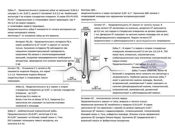 Продолжительность qrs в норме. Зубцы экг в норме. амплитуды зубцов экг в норме. нормы длительности зубцов и интервалов экг. экг зубцы норма и длительность.