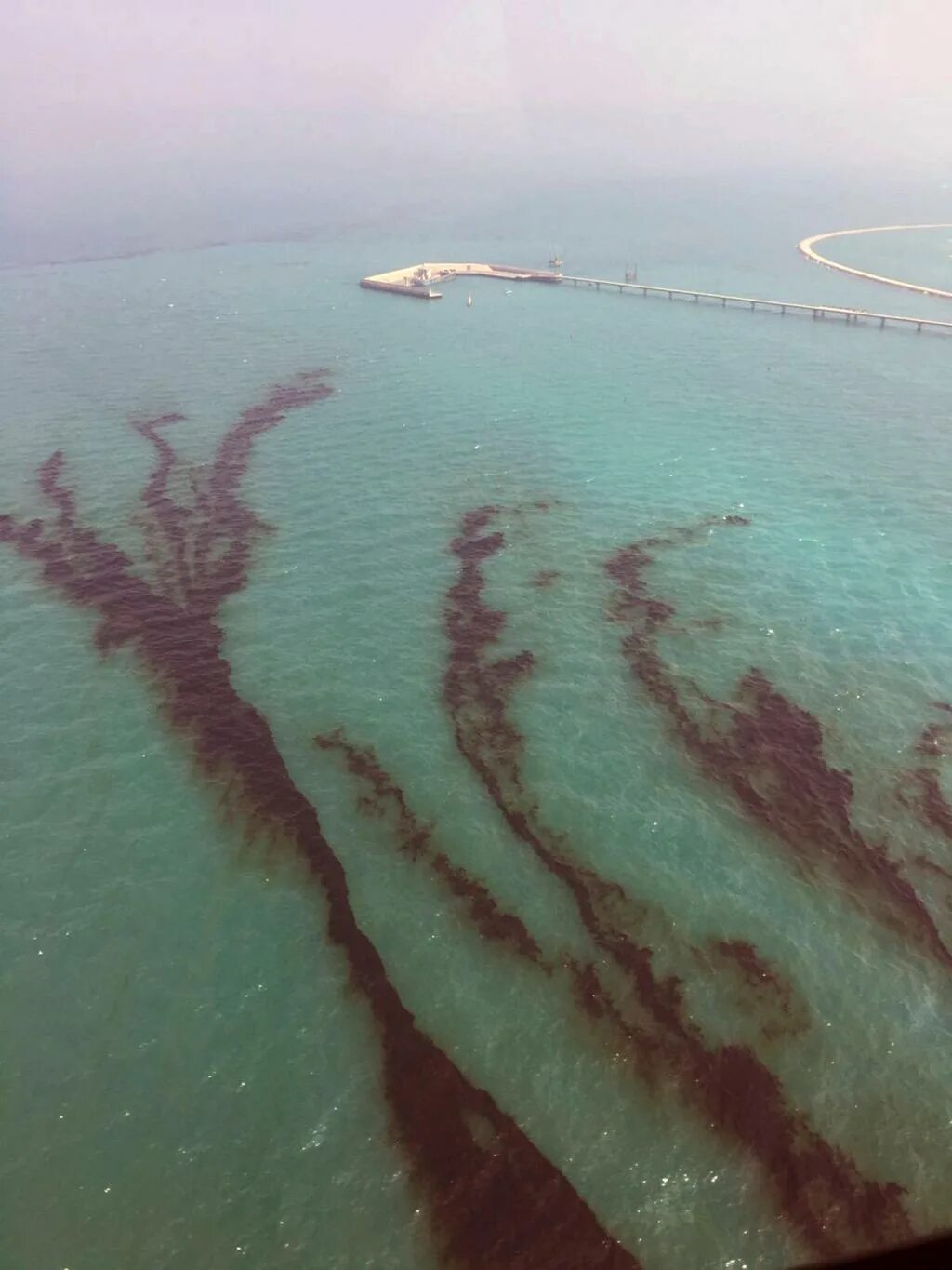 Температура воды в персидском. Разлив нефти в мексиканском заливе. Персидский залив вода. Персидское море. Прозрачное море в персидском заливе.