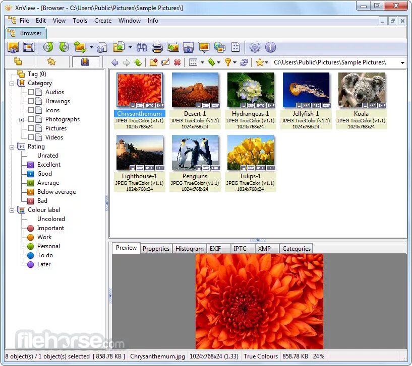 Xnviewer