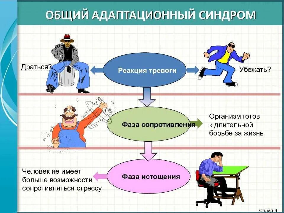 Проверить тревога. Общий адаптационный синдром. Стадии общего адаптационного синдрома при стрессе. Стадии выхода из стресса. Стресс презентация.