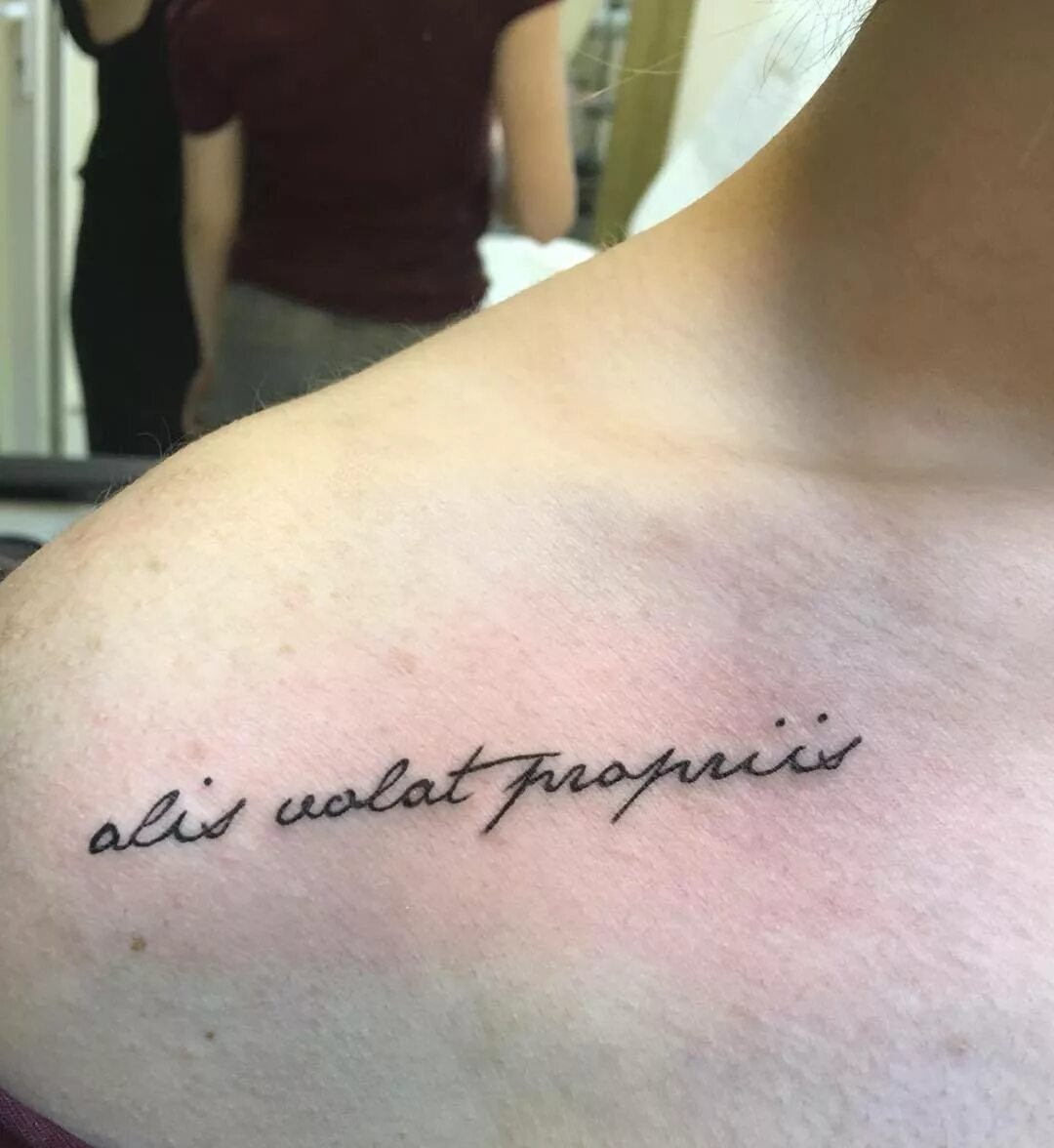 тату надпись на руке. тату всему свое время на руке на латыни. тату надписи. красивые тату надписи на руке. тату на латыни.