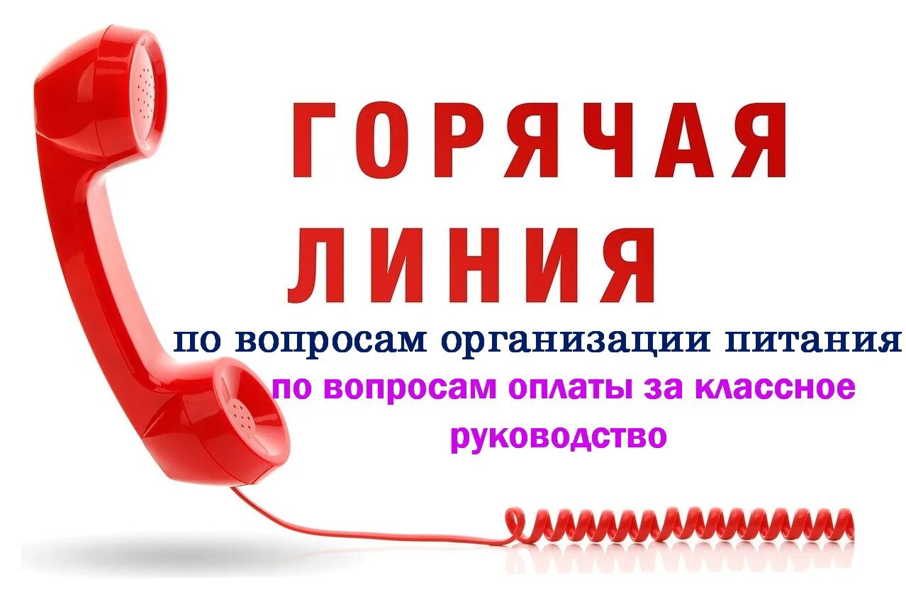 Телефон горячей д. Горячая линия. Номер горячей линии по вопросам. Горячая линия по вопросам образования. Плакат горячая линия.