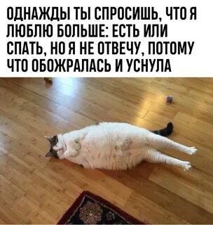 Мем наелся
