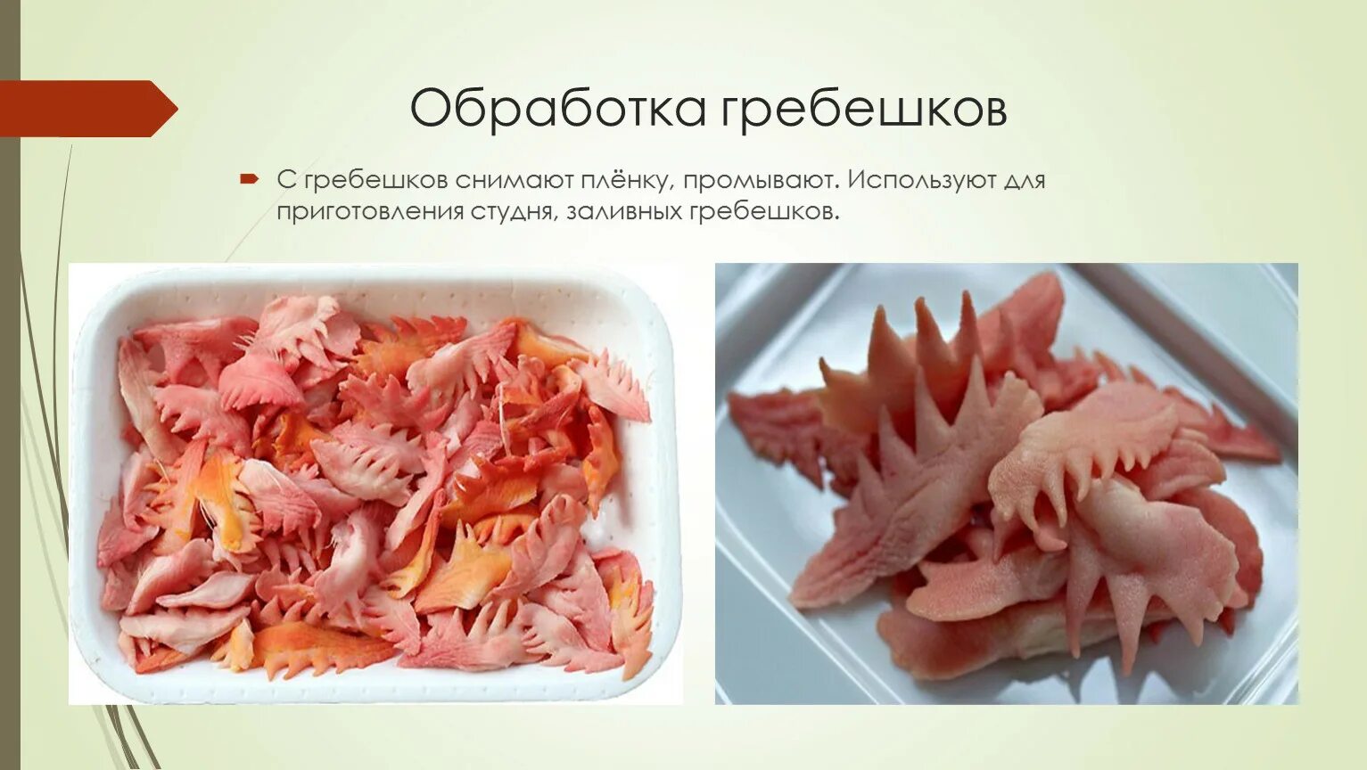 Что является субпродуктом при переработке птицы. Обработка гребешков. обработка гребешки птицы.. обработка гребешков птиц для приготовления. как обработать гребешки.