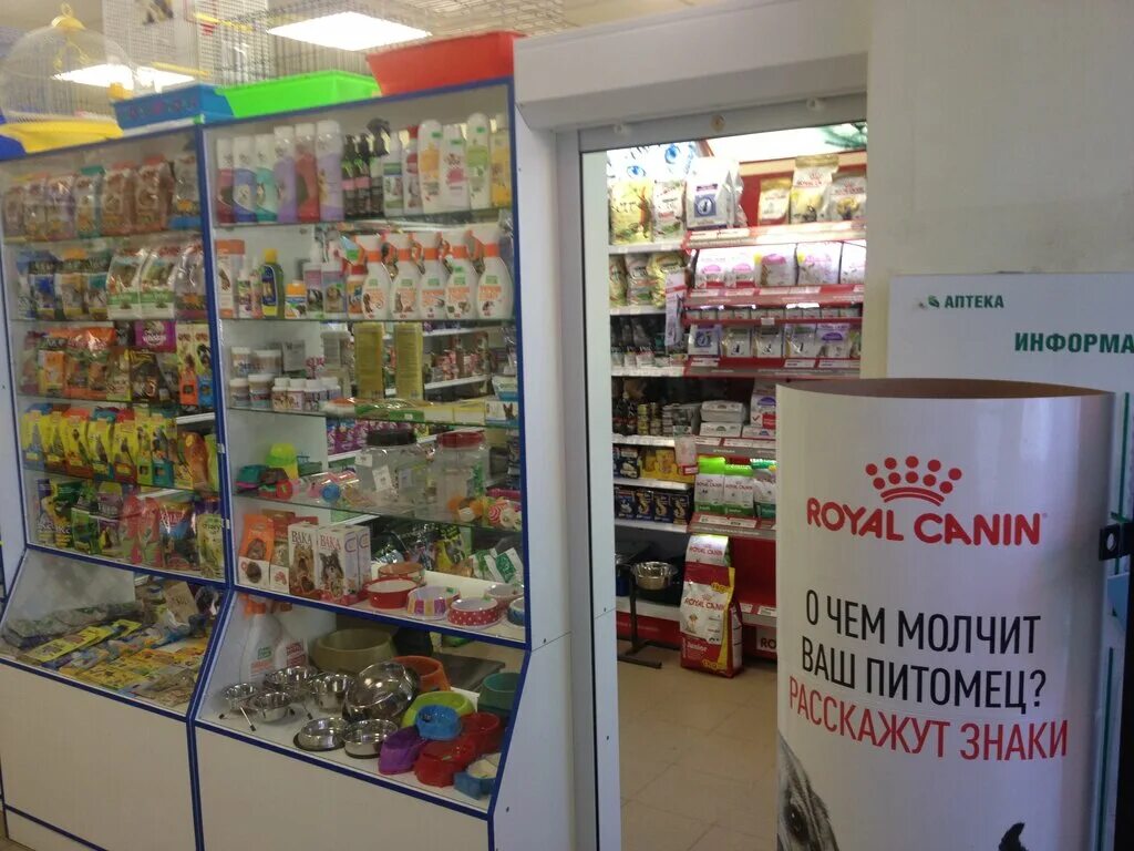 Зоомагазин ростов-на-дону. Зоомагазин магазин ростов на дону. Животные в зоомагазине в ростове. Зоомагазин ростов. Зоомагазин ростов.