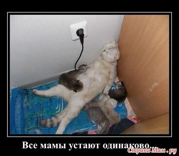 Я устаю на работе