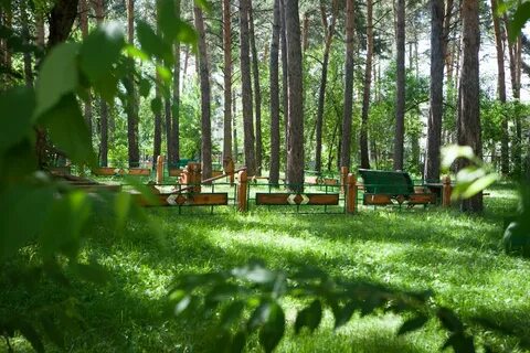 Какая лесная сказка