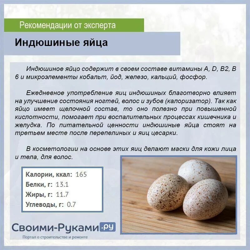 Гусиные яйца размер яиц. Характеристика яиц. Размер гусиного и индюшиного яйца. Размер яйца индюка. Во сколько можно давать яйцо