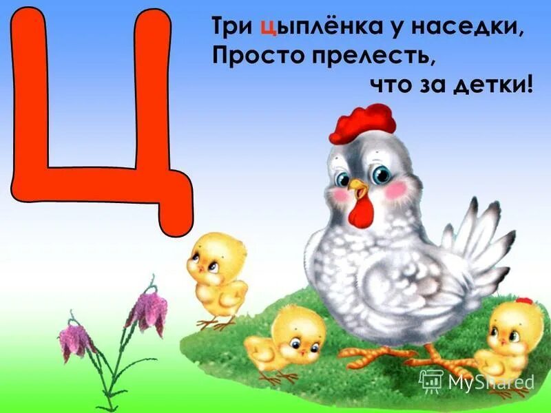 Буква ц. Азбука ц. Буквы алфавита для детей. Веселая буква ц. Веселая буква ц.