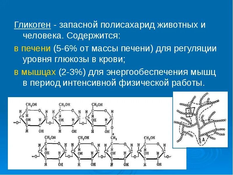 Гликоген что это. Полисахариды формулы гликоген. структура гликогена биохимия. гликоген строение и роль. полимер гликоген формула.