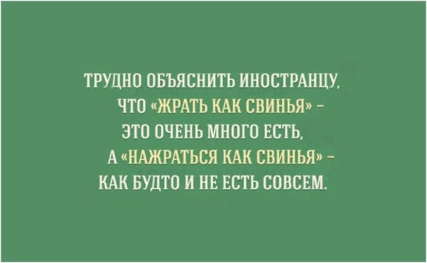 Цитаты иностранцу. Сложные фразы для иностранцев на русском. как объяснить иностранцу. цитаты про иностранцев. русские фразы непонятные иностранцам.