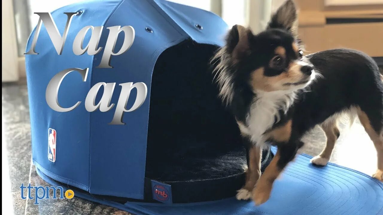 Cap nap игрушка. Дог нап. Cub doggie GD. Capnap and dogday.
