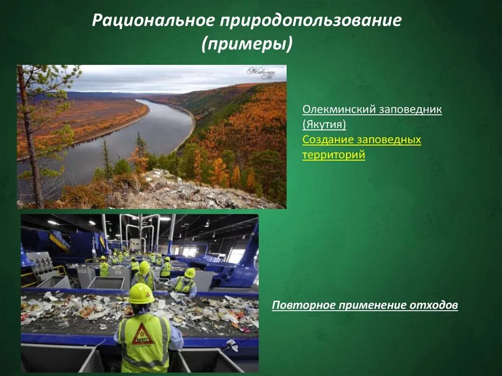 Осушение болот рационально или нерационально. Рационпльноеприродо использования. Рациональное природопользование. Рациональное природопользование примеры. Рациональное природопользования Римеры.