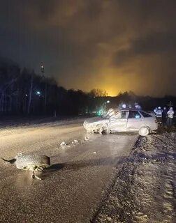 Дтп сентябрь 2023 год