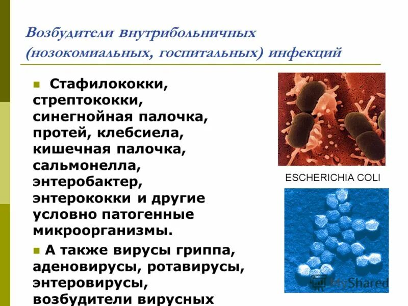 4 заболевания бактериями. Заболевания условно патогенных микроорганизмов. Заболевания вызванные условно патогенными микроорганизмами. Возбудители кишечных инфекций. Стрептококковая инфекция.