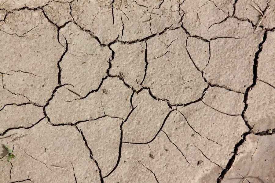 Текстуры зимней земли. Cracked do am. Асфальт клипарт. Сухая земля. Ground cracks texture.