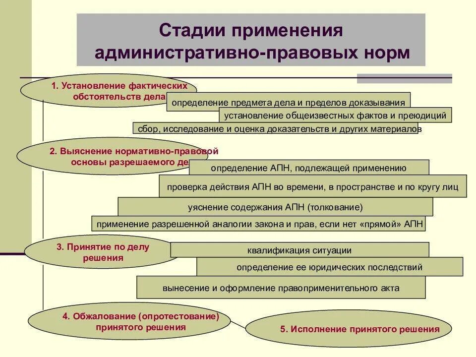 Деятельность правоприменения. Стадии применения правовых норм. Установление и анализ фактических обстоятельств дела. Стадии процесса применения правовых норм.. Стадии правоприменения.