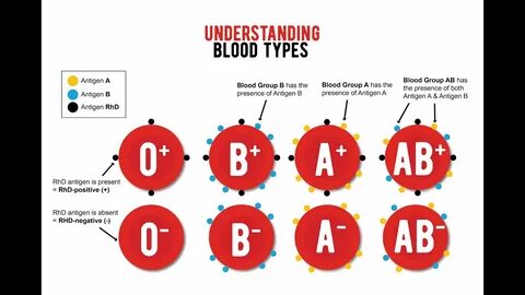 Blood types