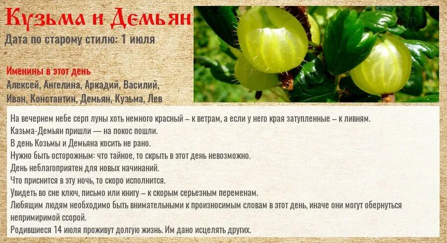 Приметы на 14 ноября. 14 Июля Кузьма и Демьян летние Кузьминки. 14 Июля Кузьма и Демьян. Кузьма и Демьян летние Кузьминки 14 июля приметы. 14 Июля народный календарь.