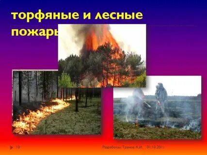 Лесные и торфяные