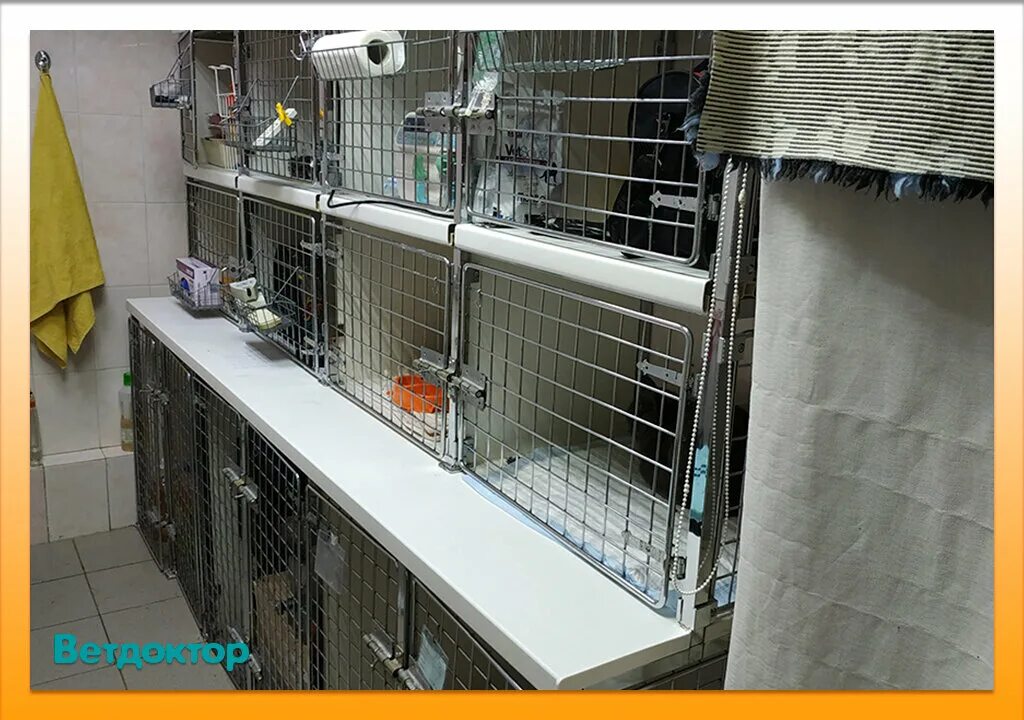 ветдоктор бебеля. ветдоктор бебеля 17. ветеринарная клиника бебеля екатеринбург. бебеля 17 екатеринбург ветдоктор. ветдоктор бебеля.